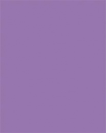 Dekorkarton, 2 oldalas, 50x70cm, 220 g, 10 lap, FOLIA, sötét orgonalila